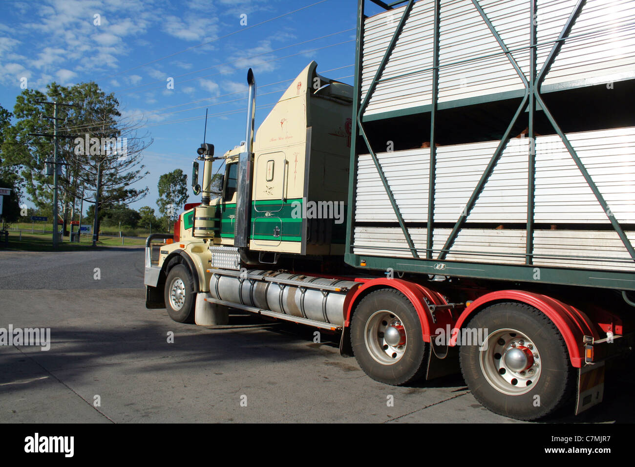 Truck with cattle in Australia Stock Photo
