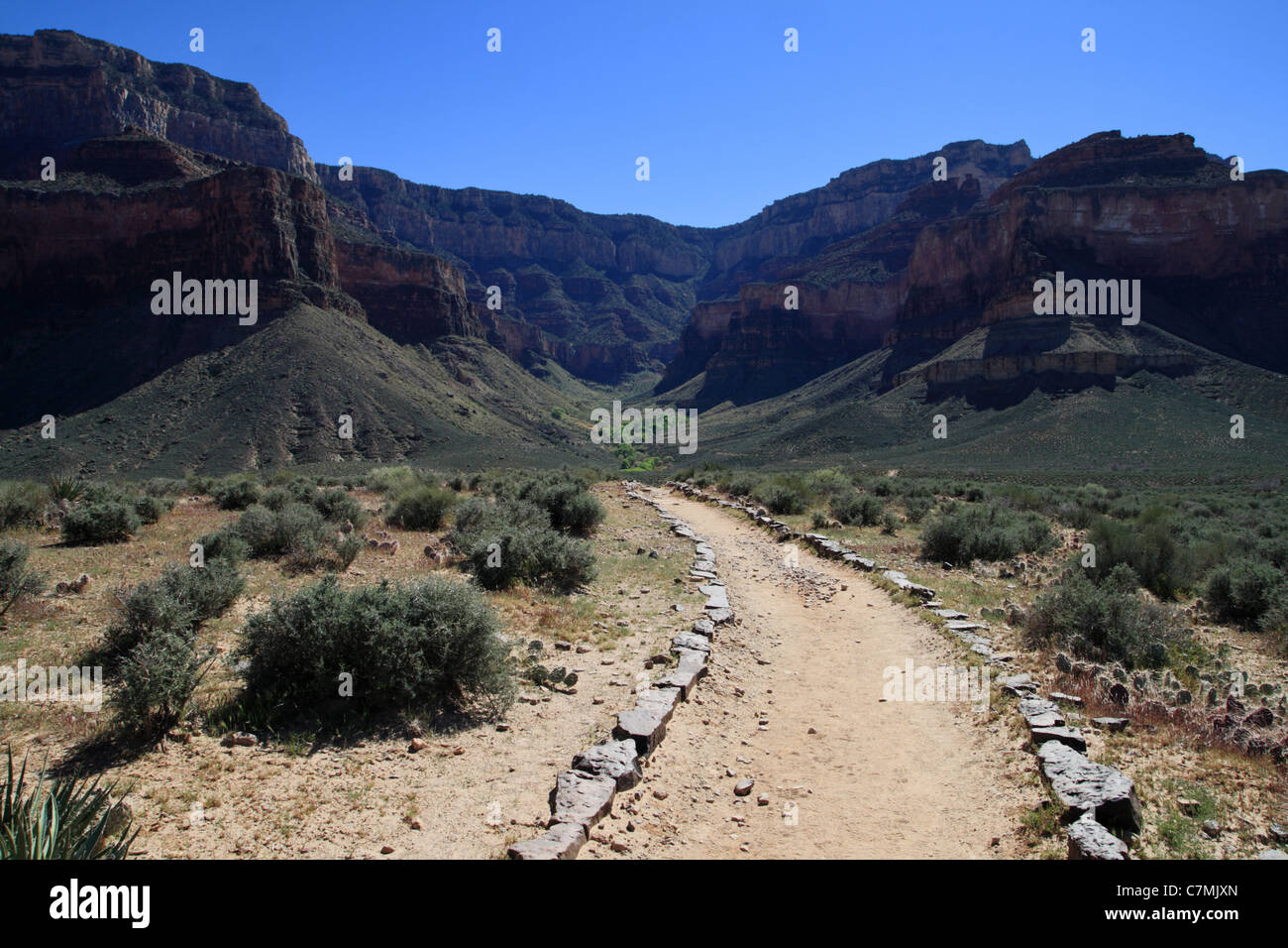 Plateau Point trail in the Grand Canyon looking up at the Bright Angel Trail Stock Photo