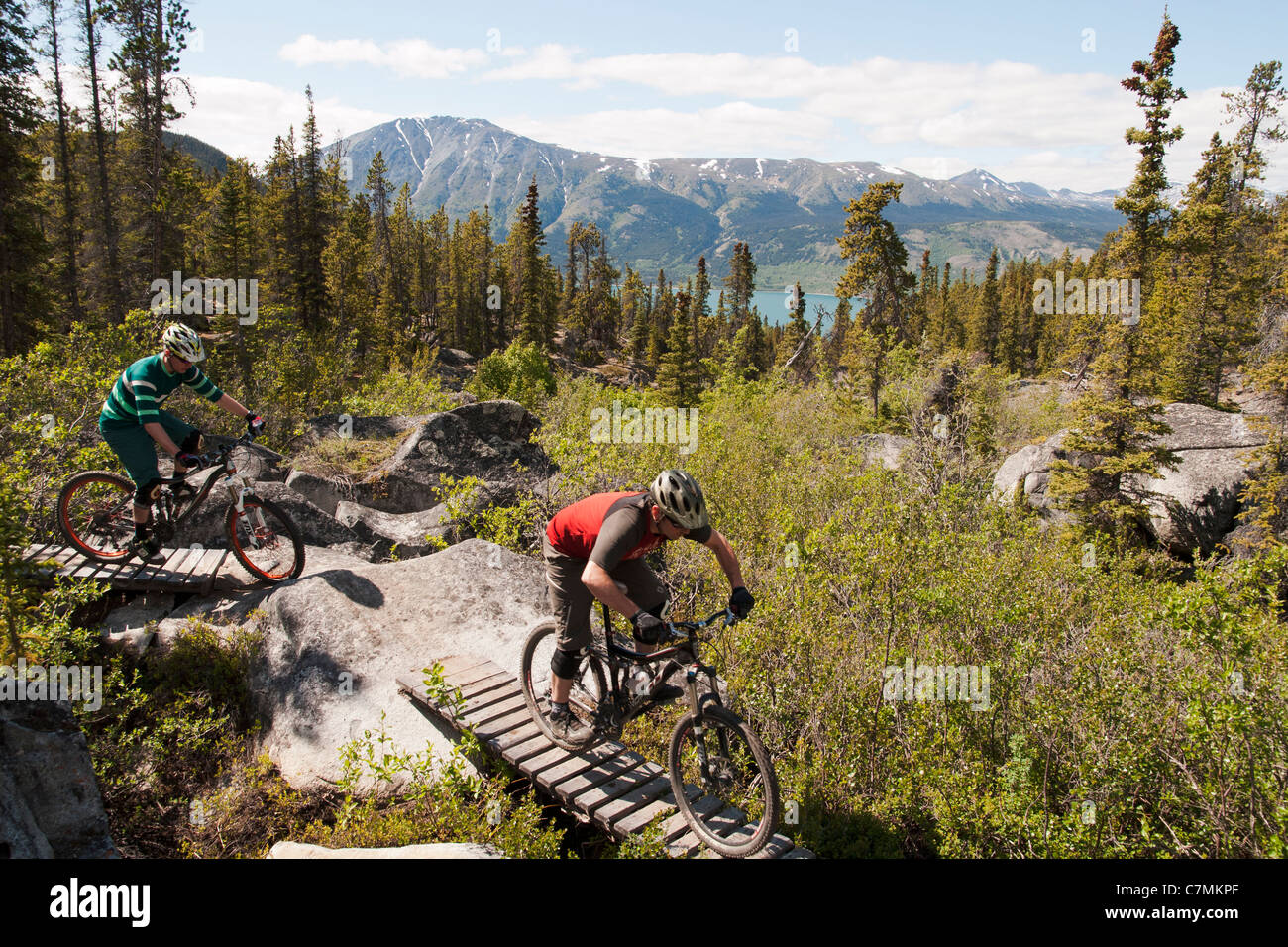 Mountain bikers riding a trail on Montana Mountain in Carcross, Yukon
