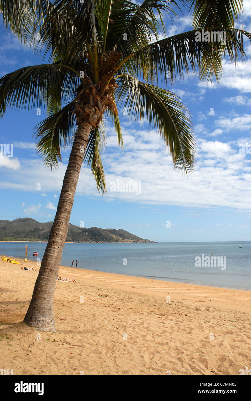 beach at Horseshoe Bay, Island, Queensland, Australia Stock