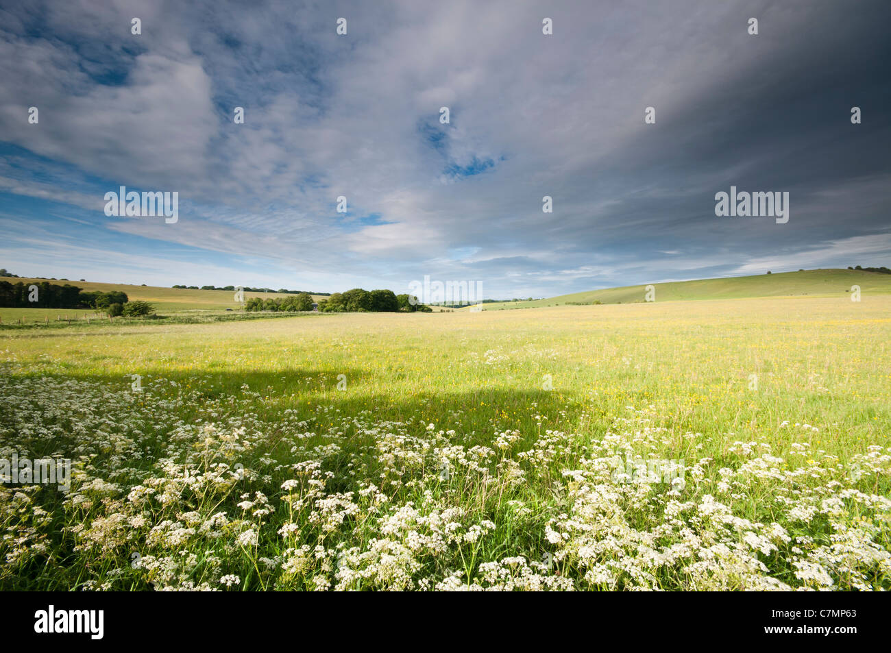 Countryside landscape near Knap Hill, Wiltshire, UK Stock Photo