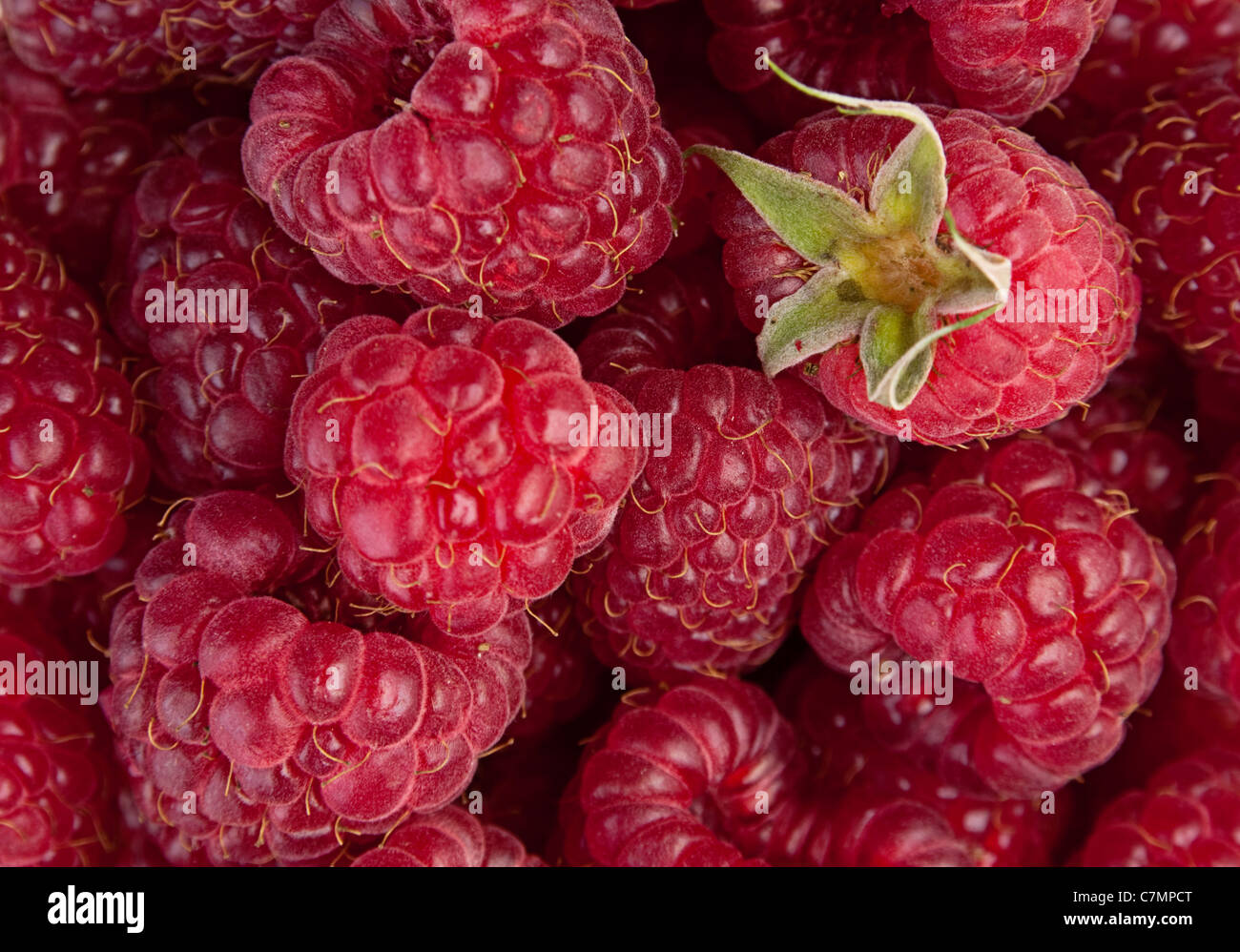 Sweet fresh raspberry fruit closeup view background Stock Photo Alamy
