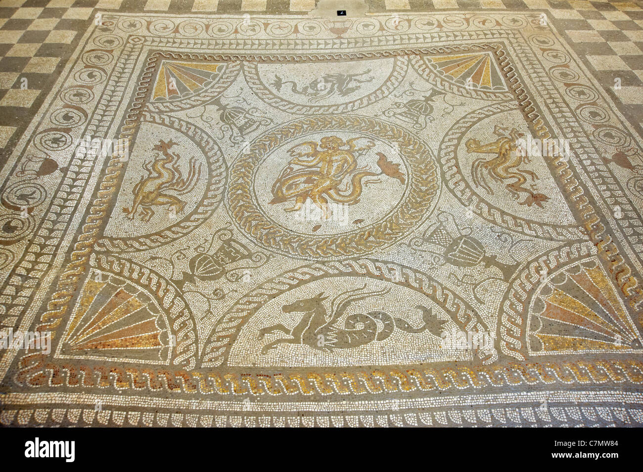 Cupid on a Dolphin mosaic, The Fishbourne Roman Palace, Fishbourne, near Chichester, West Sussex, England, UK Stock Photo