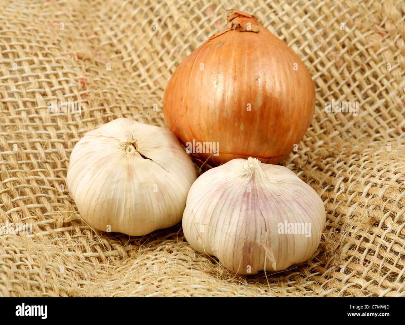 Garlics and onion over a rustic fiber cloth Stock Photo Alamy