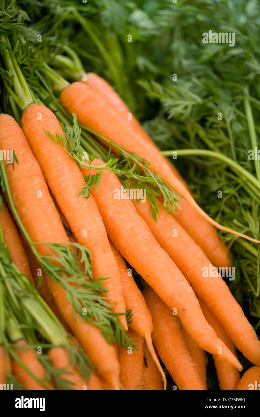 Carrots In Stool - Stools Item
