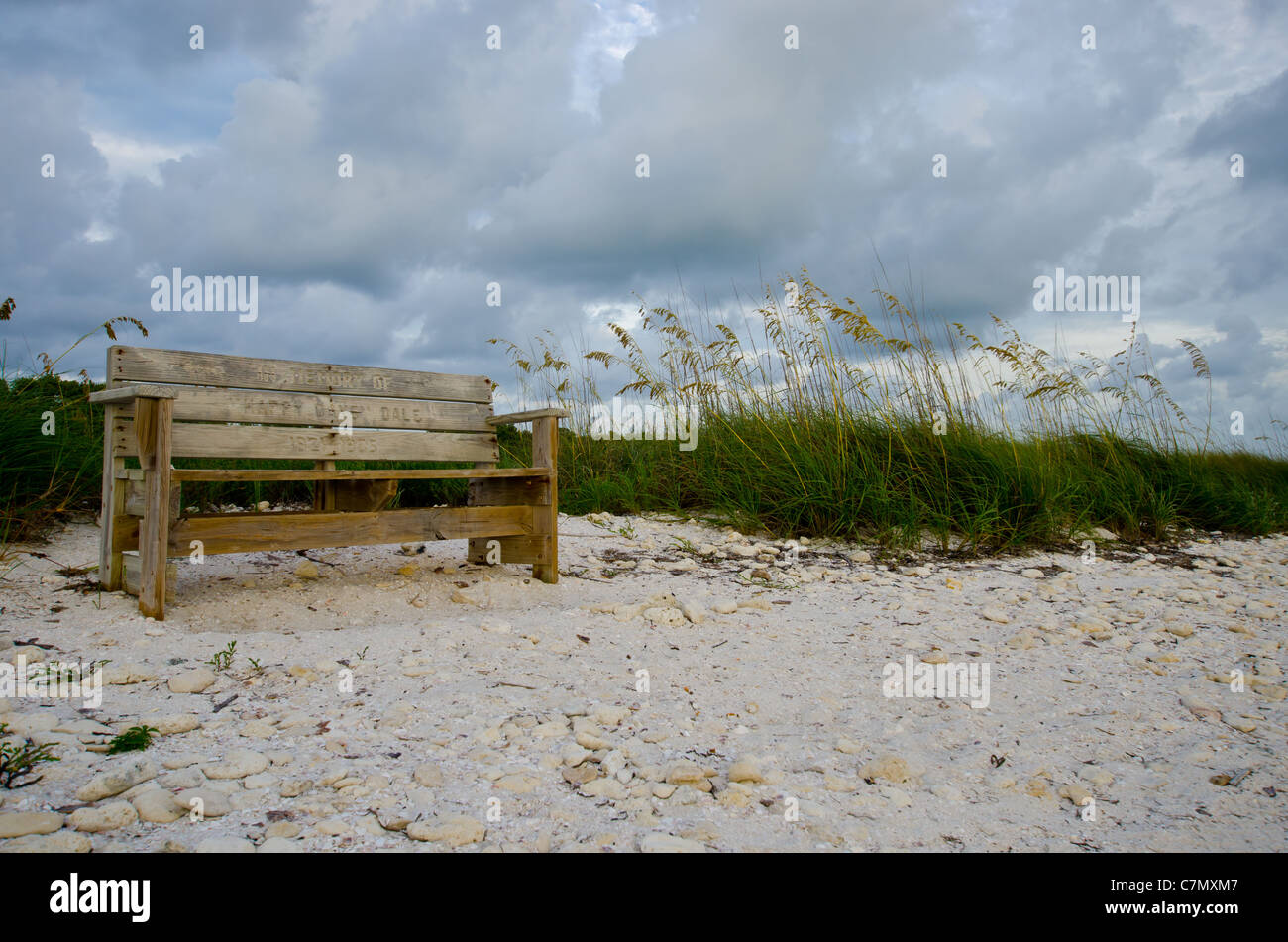 Honeymoon Island Clearwater Fl Beach Stock Photo Alamy