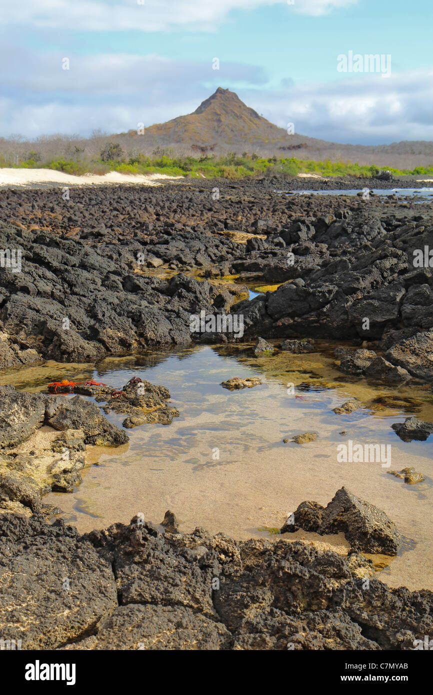 Dragon Hill, Santa Cruz Island, Galapagos National Park, Ecuador Stock