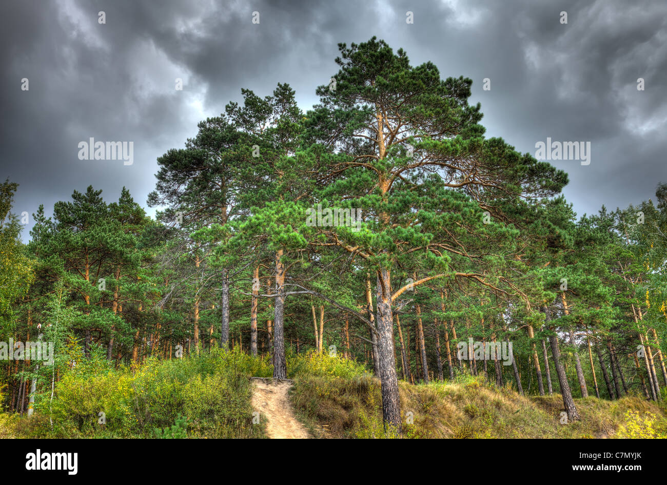 Nature autumn landscape, HDR image Stock Photo
