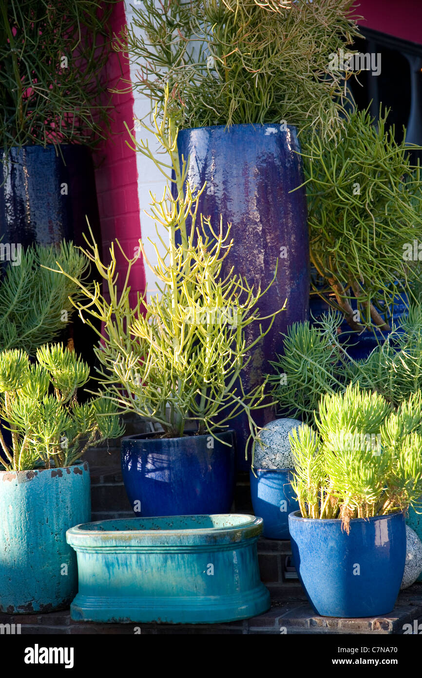 Glazed ceramic pots plant hires stock photography and images Alamy