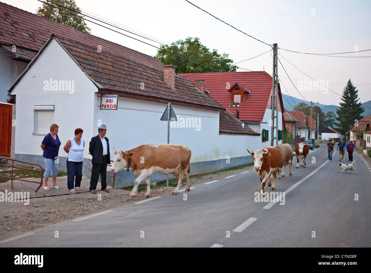 Hungarian ethnic village Rimetea in Romania. Stock Photo