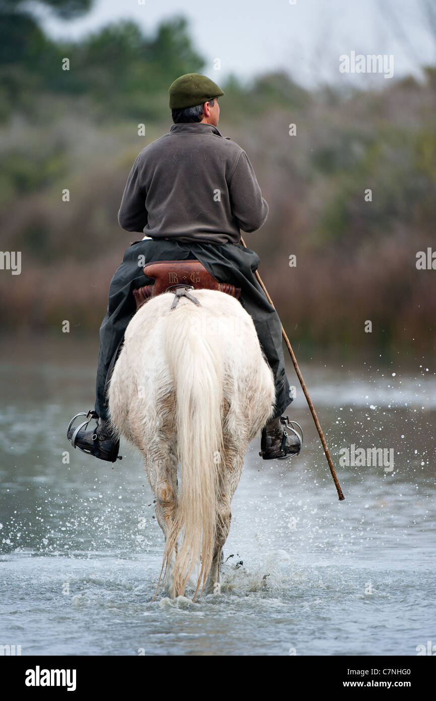 On Rider Rider on horse Stock Photo - Alamy
