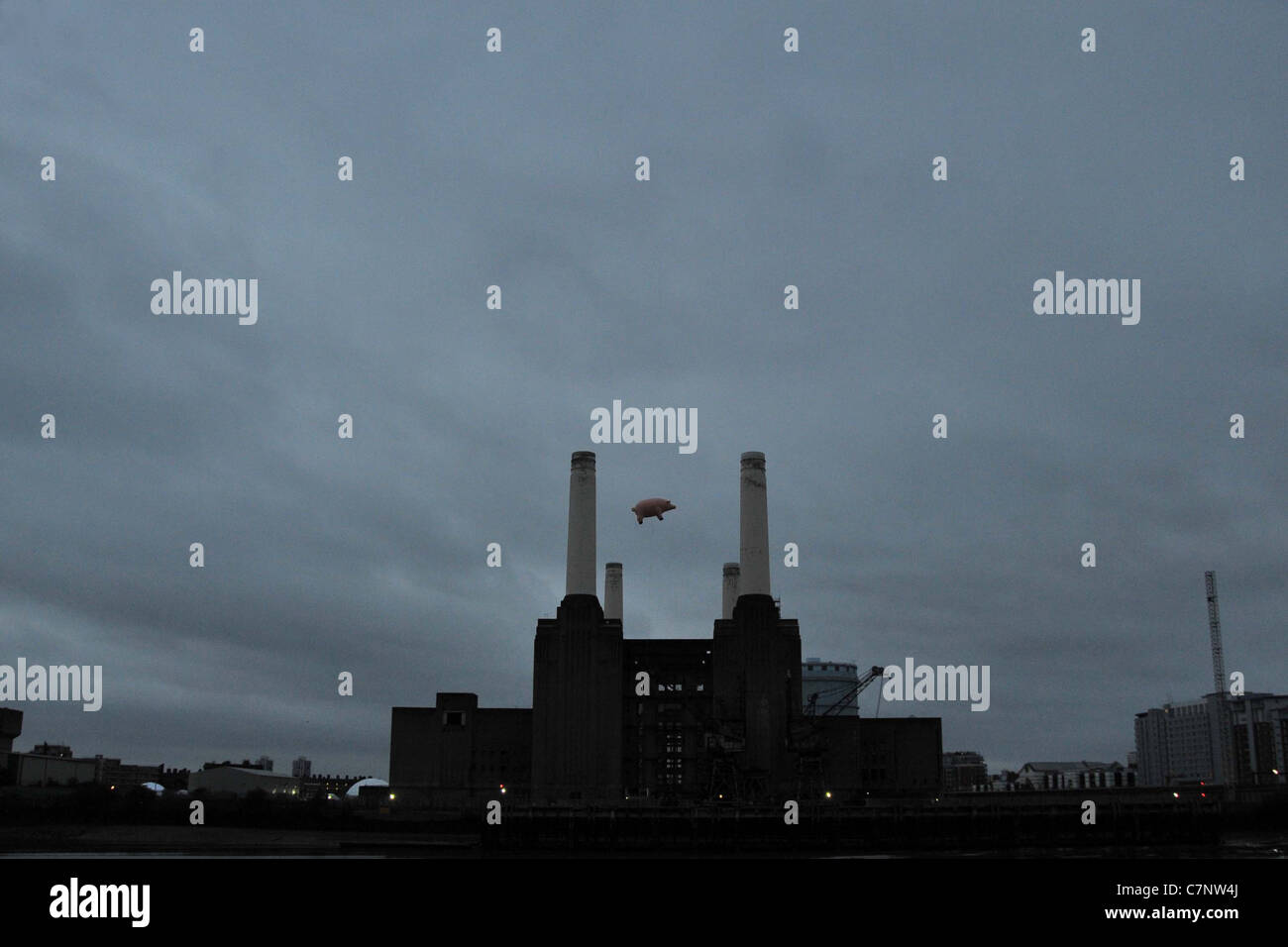 pink floyd pigs pink floyd pigs