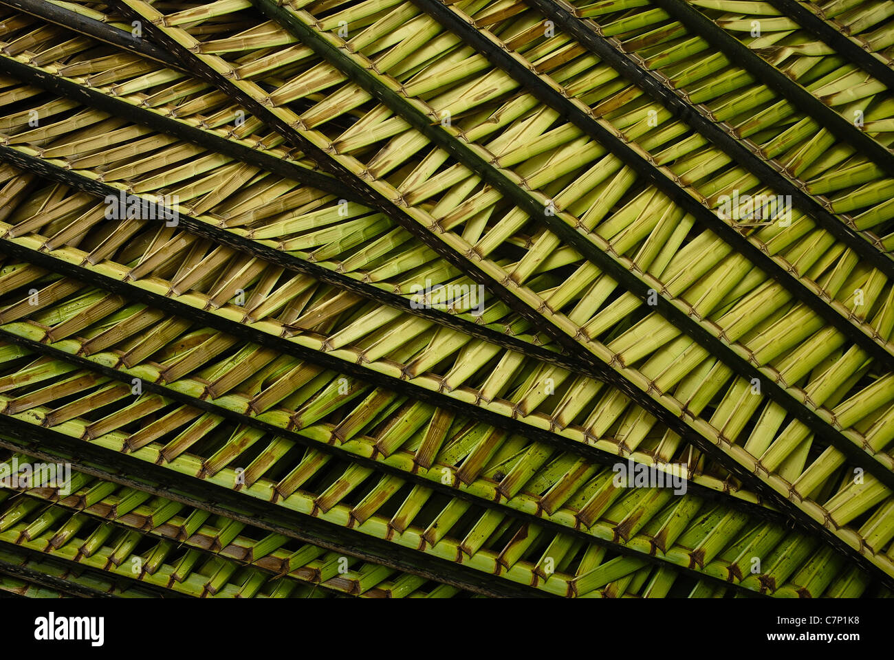 Babacu leaves used as roof, Itapecuru Miri, Maranhao State, Northeast Brazil. Stock Photo