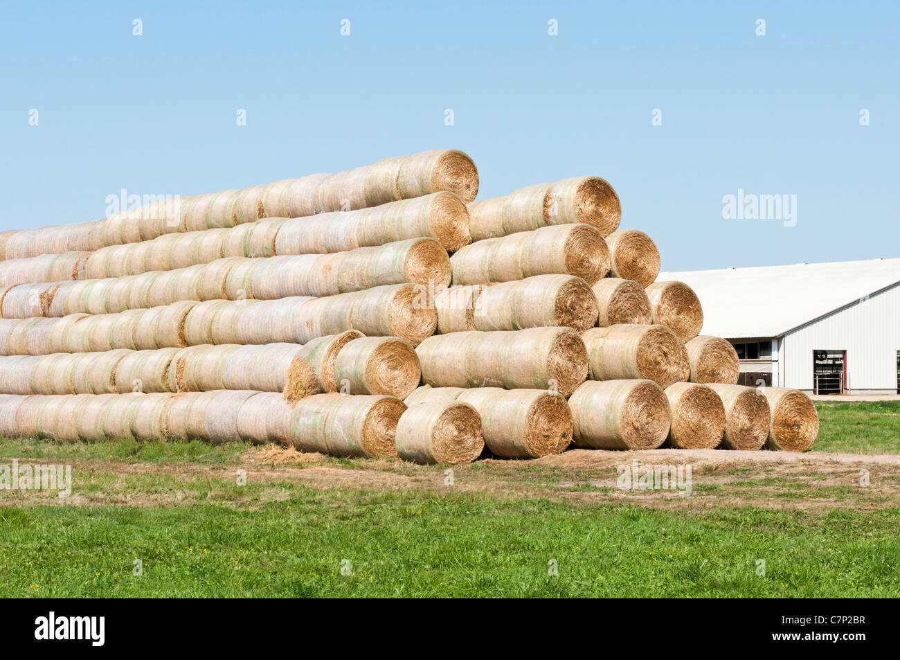 Alfalfa in round bales are stacked for storage at the edge of a farmyard in South Dakota. Stock Photo