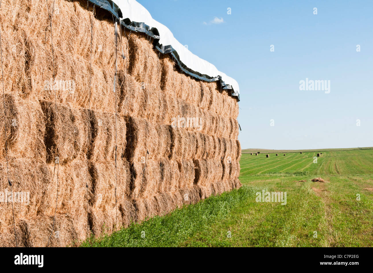 Alfalfa Hay Bales High Resolution Stock Photography and Images - Alamy