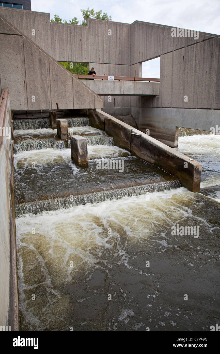 Fish ladder hires stock photography and images Alamy