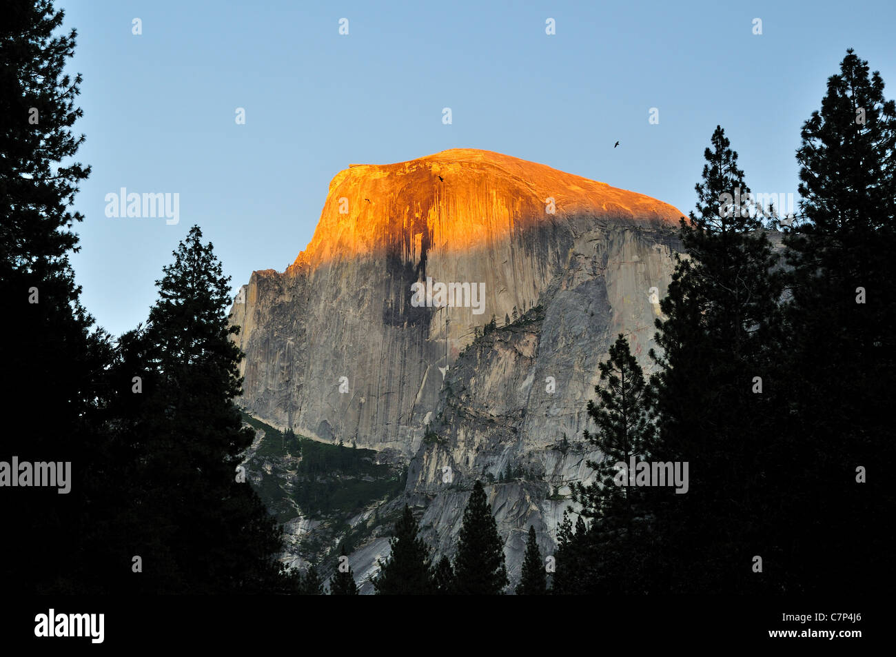 The Half Dome in sunset. Yosemite National Park, California, USA. Stock Photo