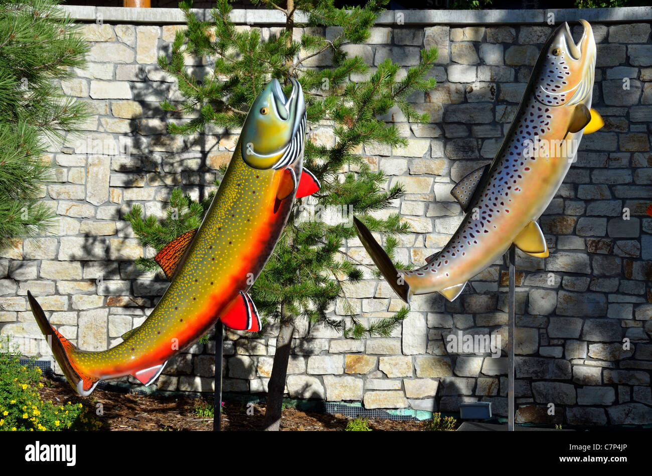 Colorful models of rainbow trout in display. Mammoth Resort, California, USA. Stock Photo