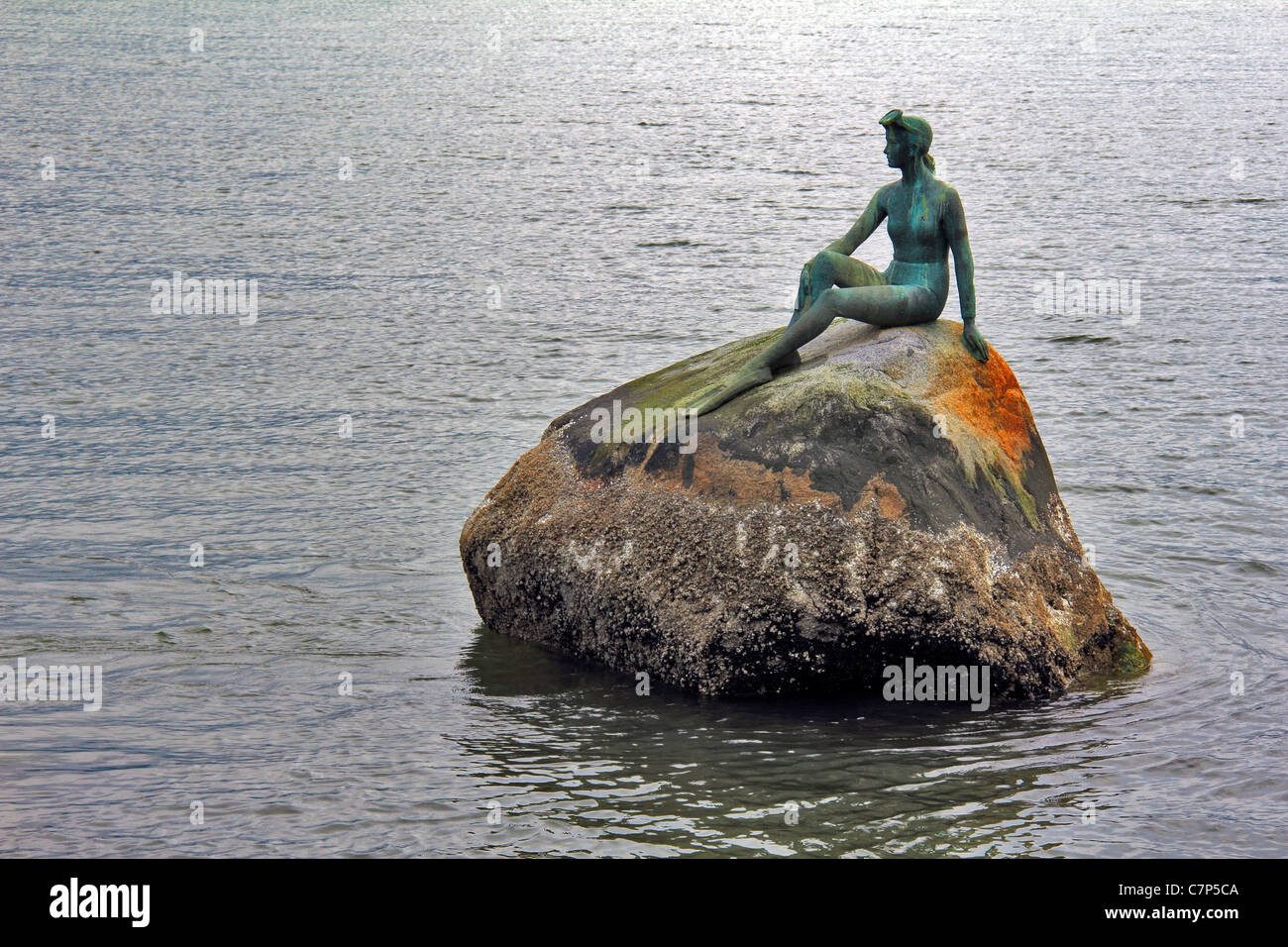 Girl in a Wet Suit Stock Photo - Alamy