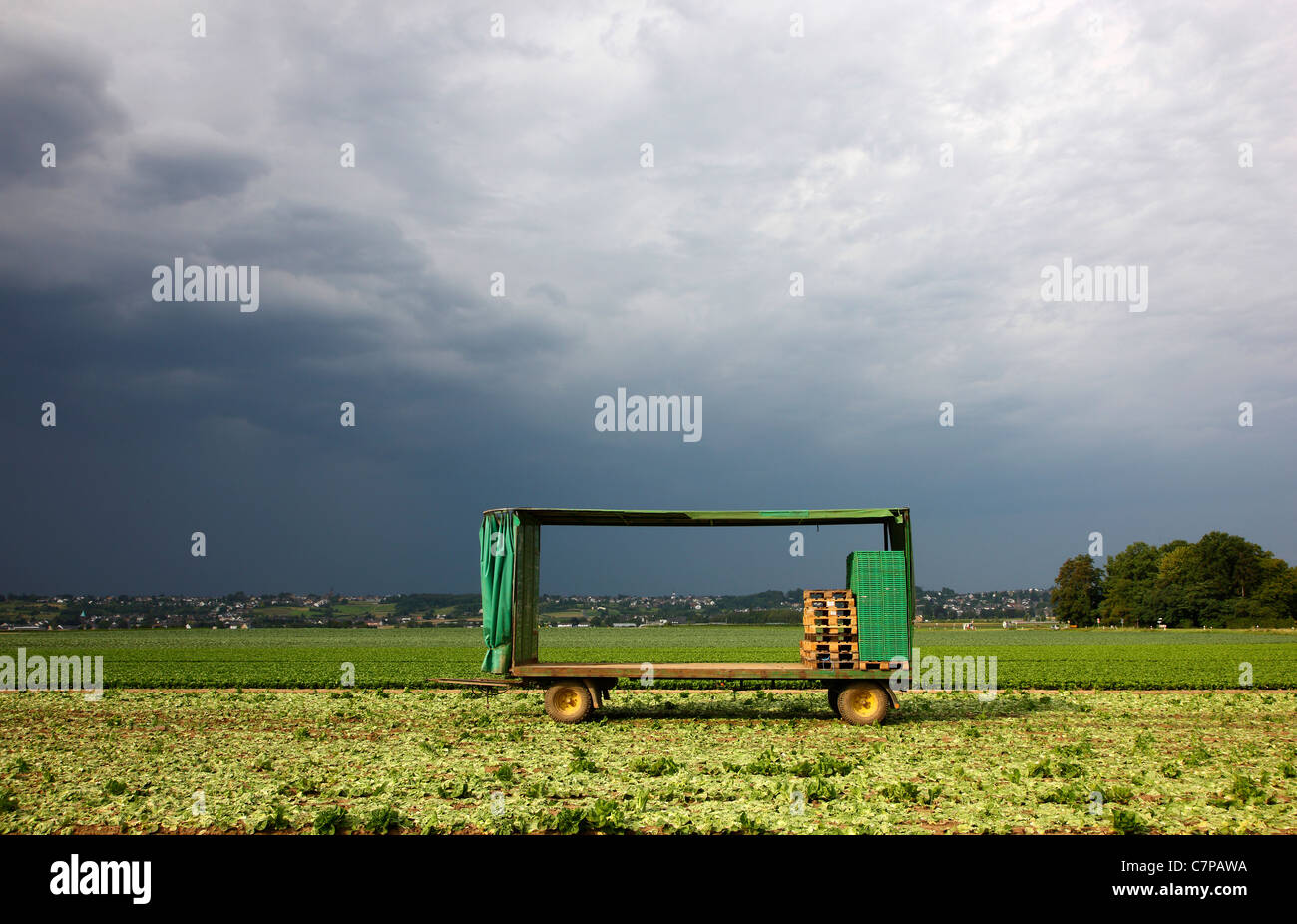 Harvested field, dark cloudy sky, farming trailer, empty, with open sidewalls, looks like a picture frame for the landscape. Stock Photo