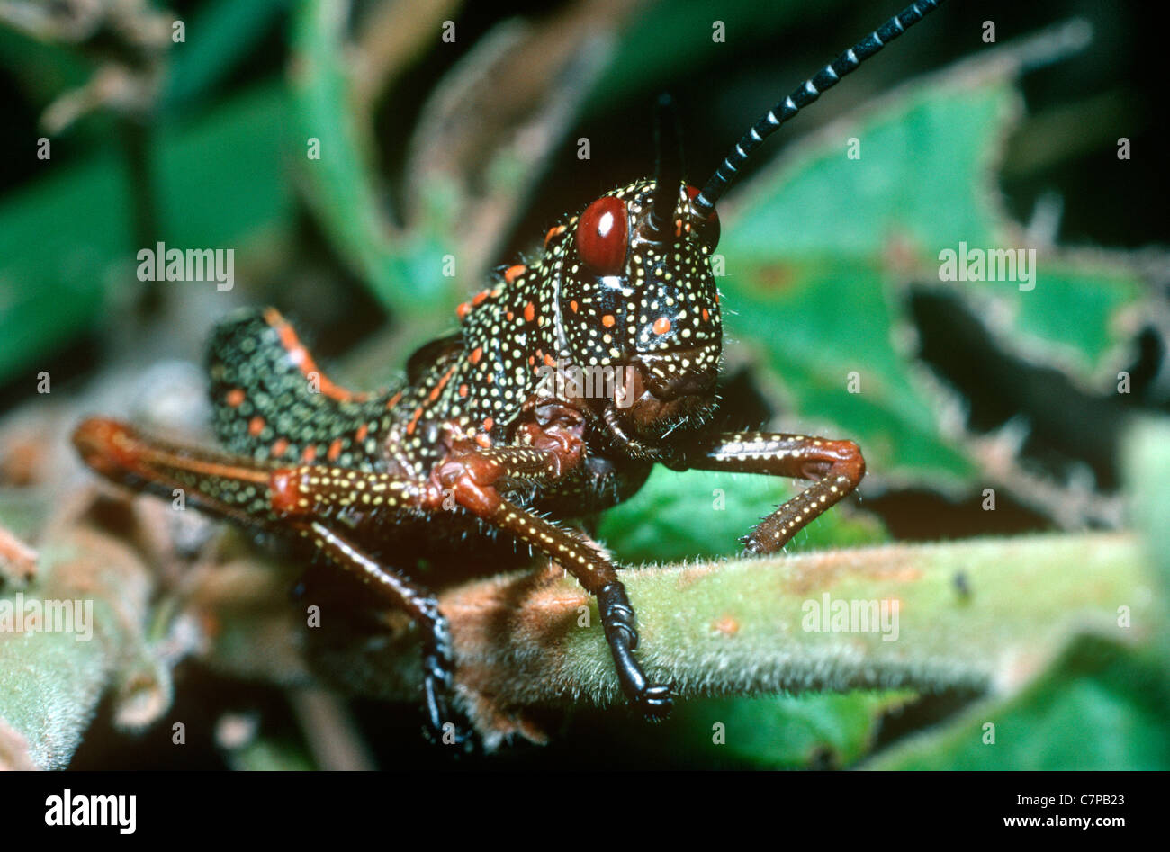 Warningly hi-res stock photography and images - Alamy