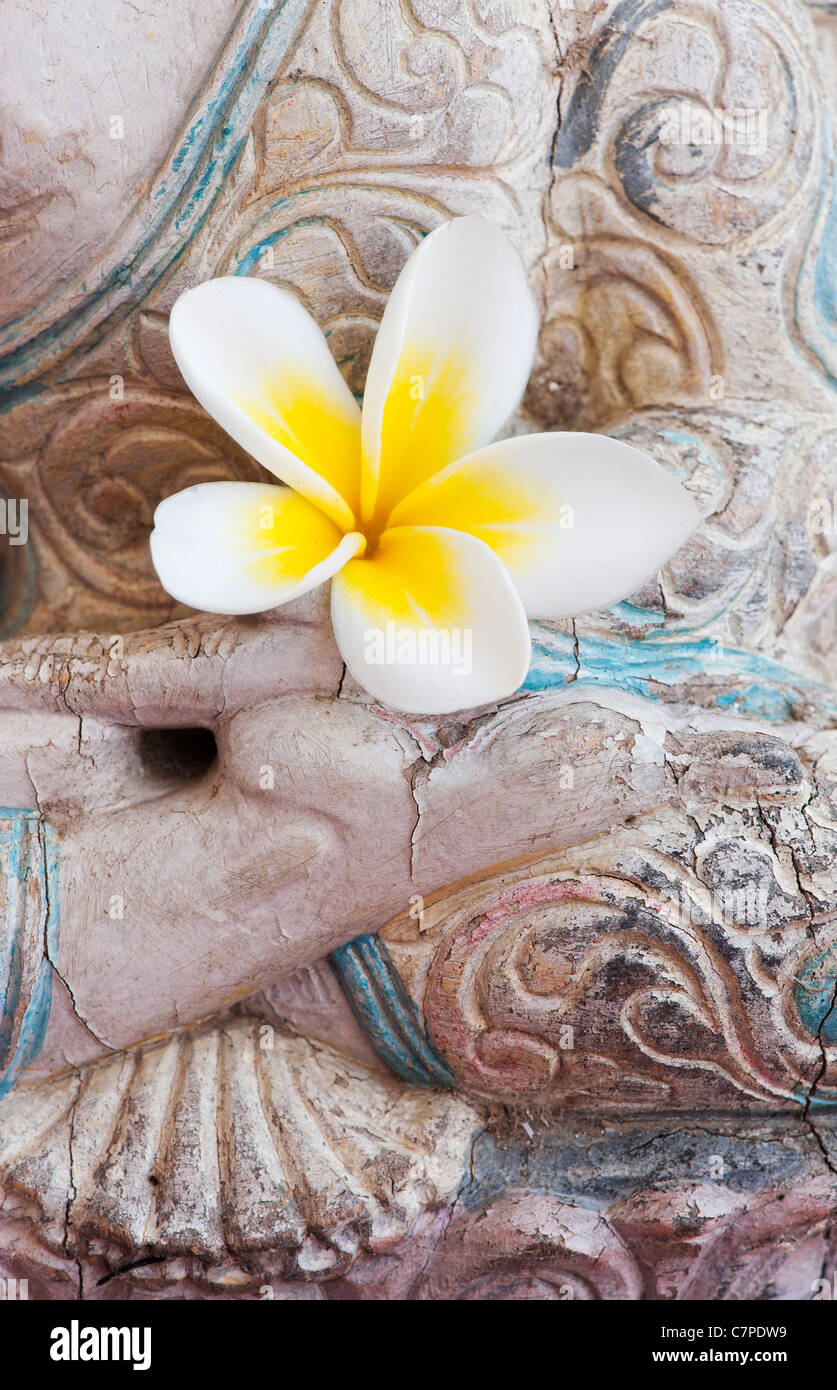 Plumeria. Frangipani flower offering on a Wooden buddha statue Stock Photo