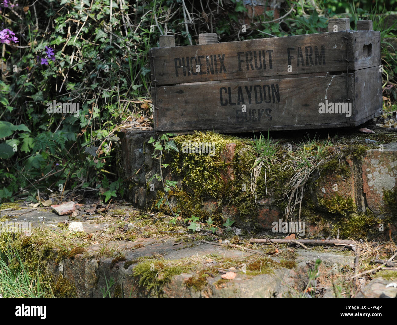 An old apple storage crate with advertising slogan Stock Photo