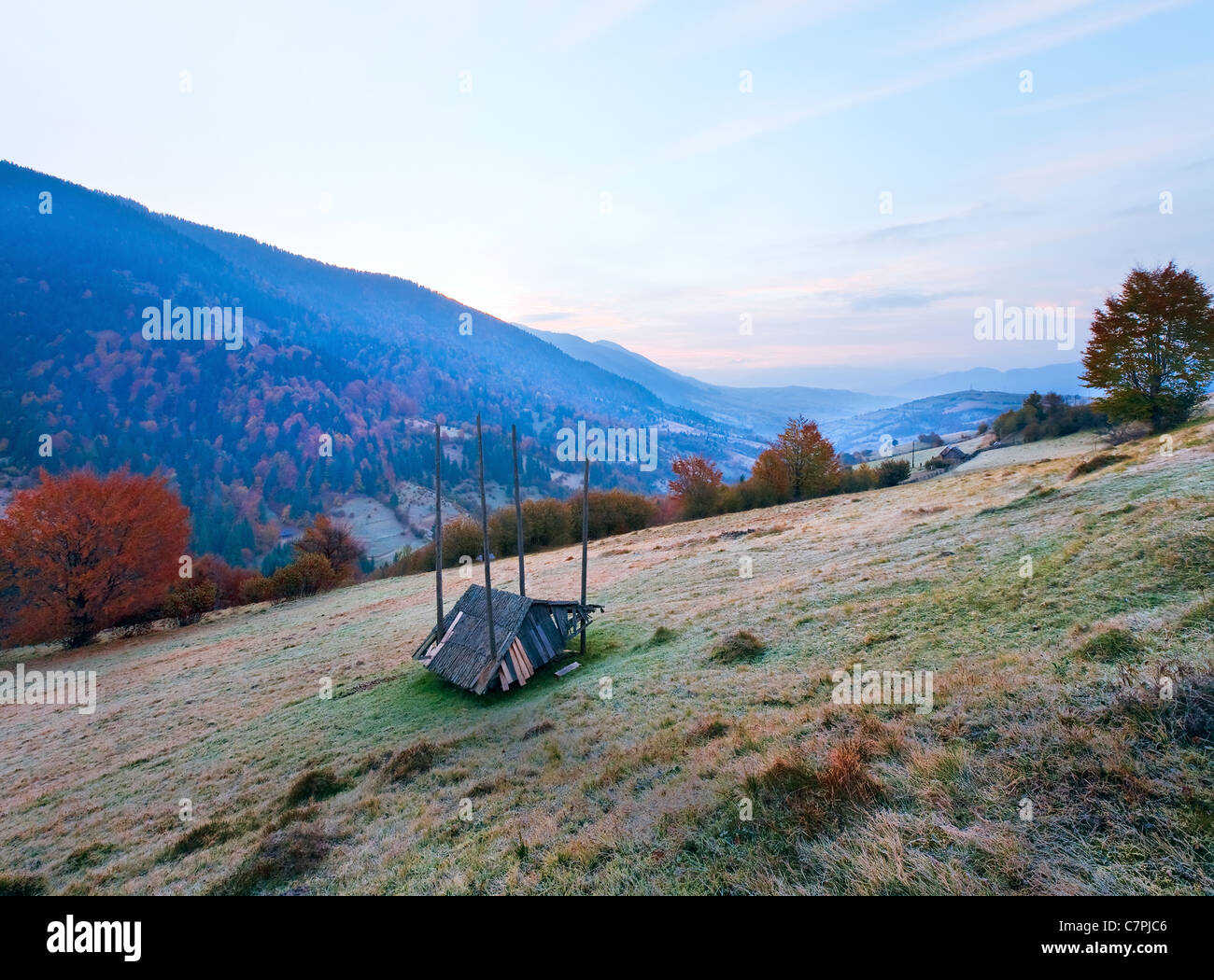 Pink color early daybreak in autumn Carpathian mountain, Ukraine Stock ...