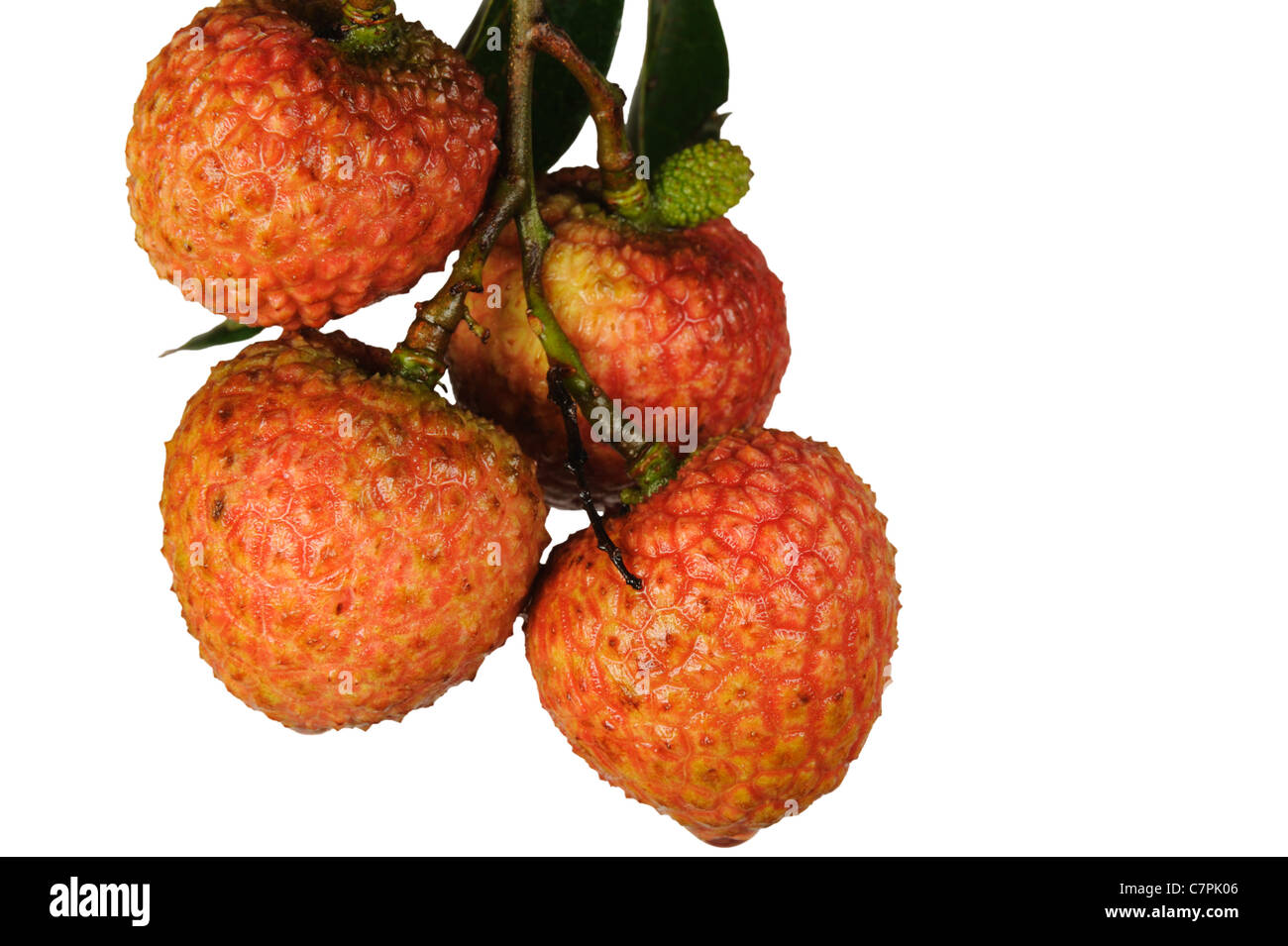 Litchi with green leaves isolated on white background Stock Photo