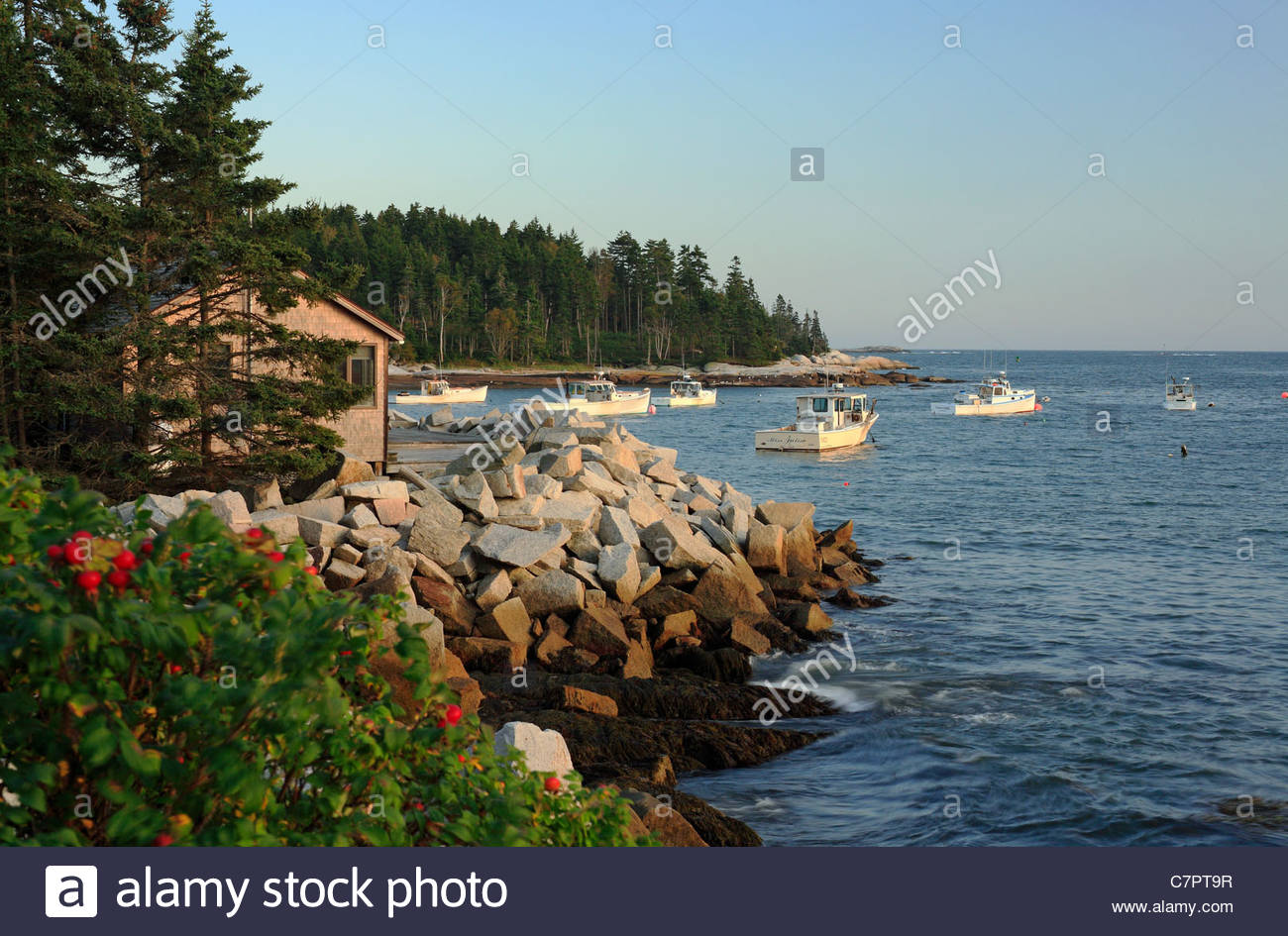 Spruce Head Maine Stock Photos & Spruce Head Maine Stock Images Alamy
