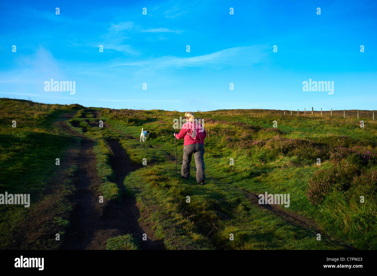 Hill walker on Cave Hill walking on path with dog, Cave Hill country