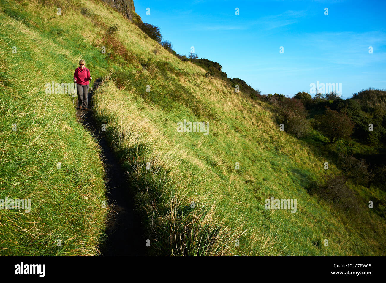 Woman Hill walker on Cave Hill walking on path using poles, Cave Hill country Park Stock Photo
