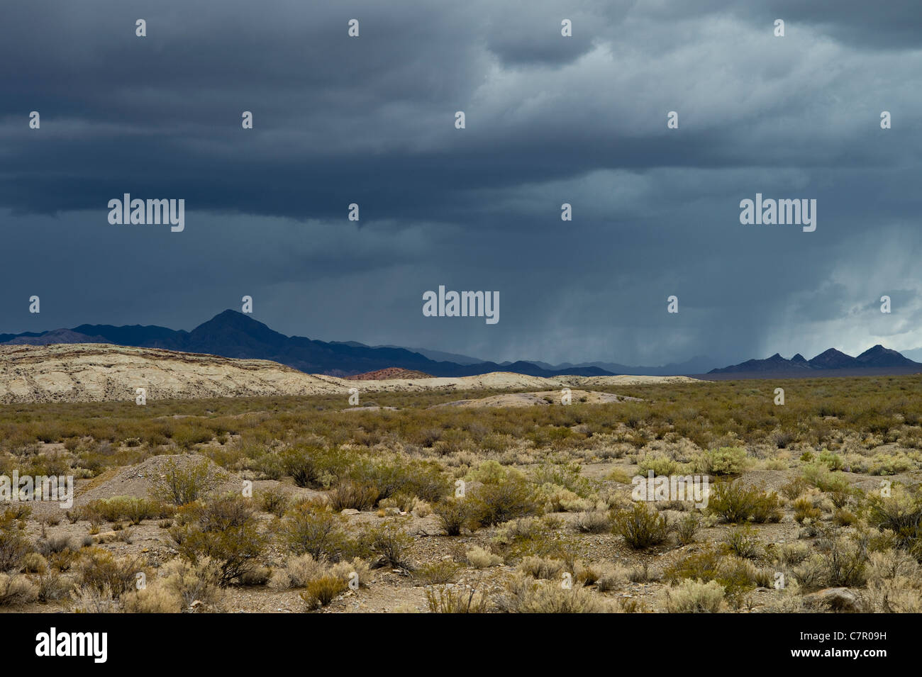Rain desert storm hi-res stock photography and images - Alamy