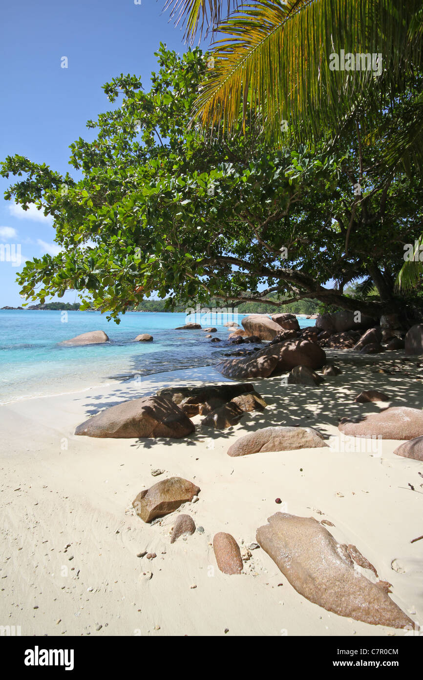 271333_5
