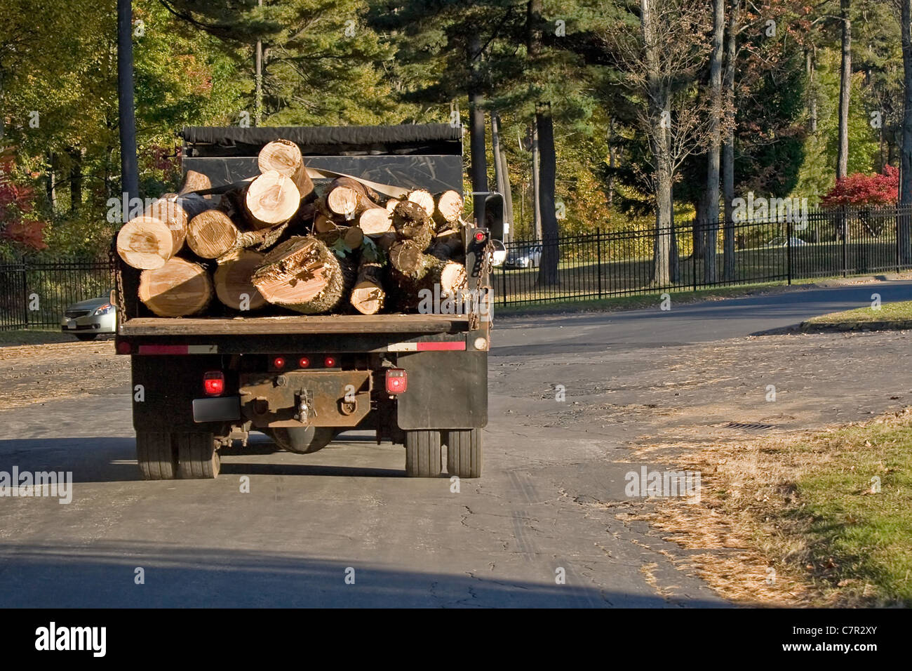 Truck carrying tree logs wood hires stock photography and images Alamy