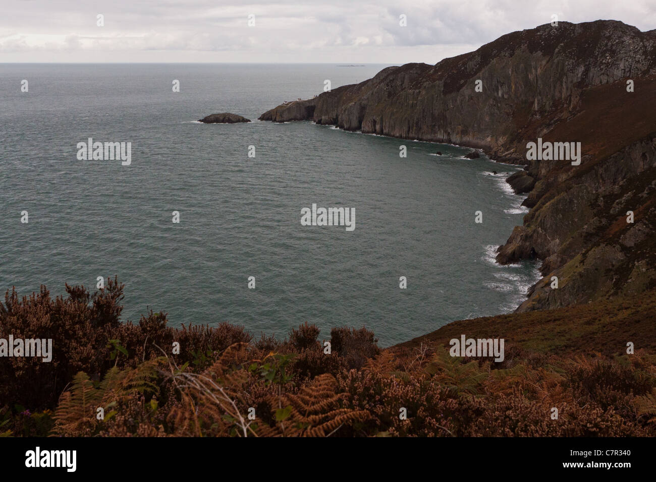 Photograph of South Stack, Anglesey, Wales, UK Stock Photo Alamy
