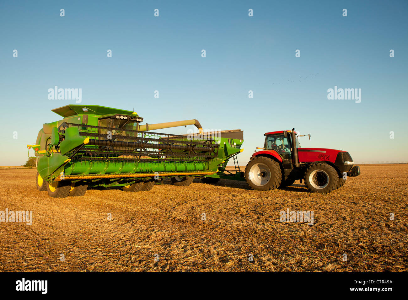 Combine and tractor with grain wagon Stock Photo