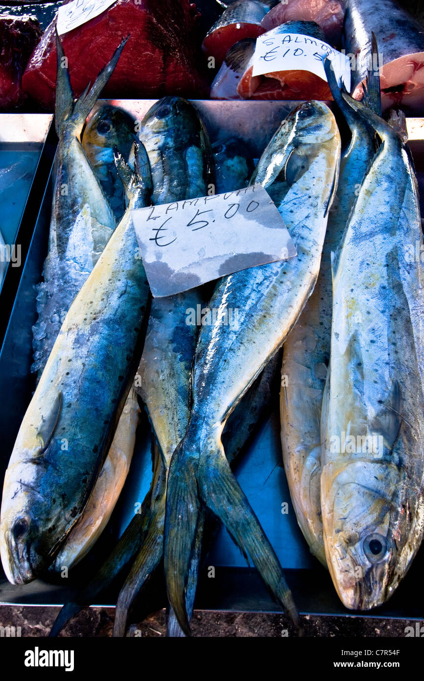 Lampuki at the Fishermen's Market, Marsaxlokk, Malta Stock Photo