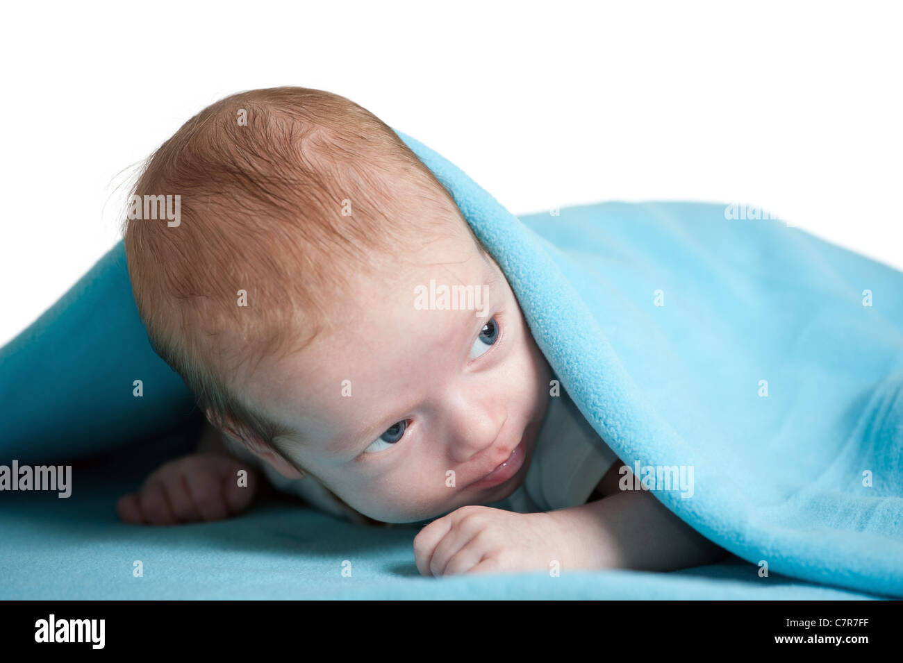 2 months old baby boy covered in blue blanket, isolated on white background Stock Photo Alamy