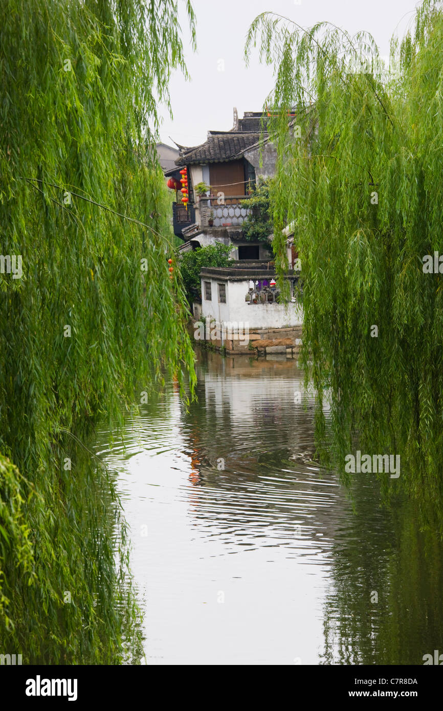 Willow tree and old residence along the Grand Canal, Xitang, Zhejiang Province, China Stock Photo