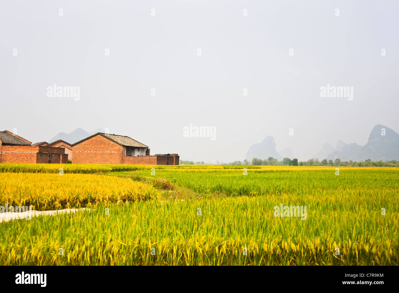 Limestone hills and rice paddy, Guangxi, China Stock Photo