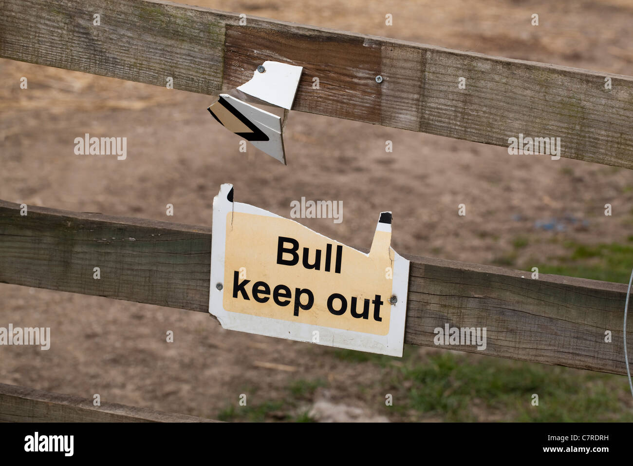 Sign, 'BULL KEEP OUT'. Field Fence, Suffolk, England. Warning notice to public, passers by. Stock Photo