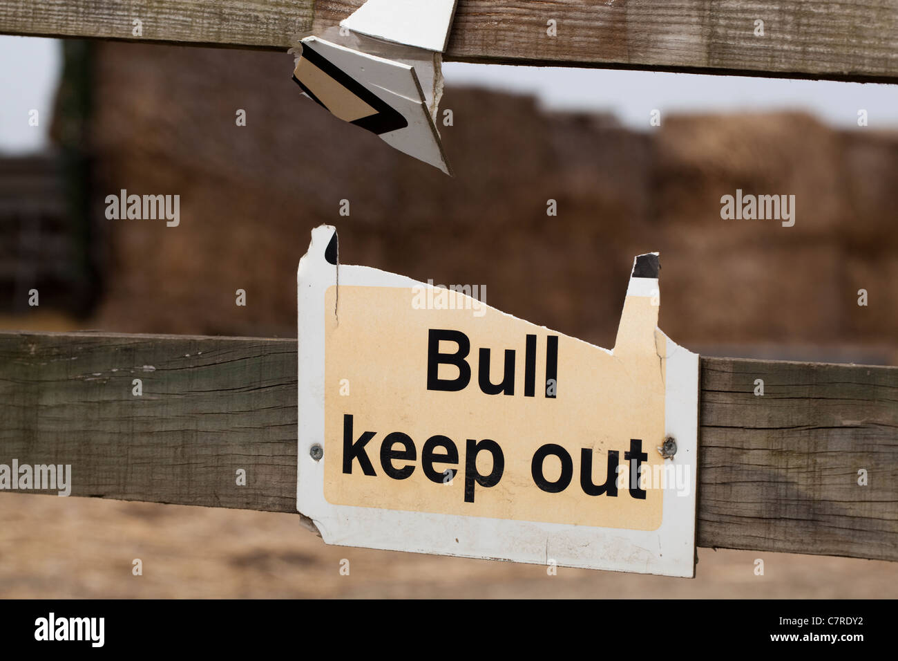 Sign, 'BULL KEEP OUT'. Field Fence, Suffolk, England. Warning notice to public, passers by. Stock Photo