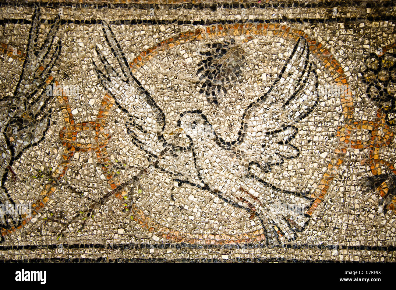Mosaic Of A Dove With An Olive Branch On The Floor Of The