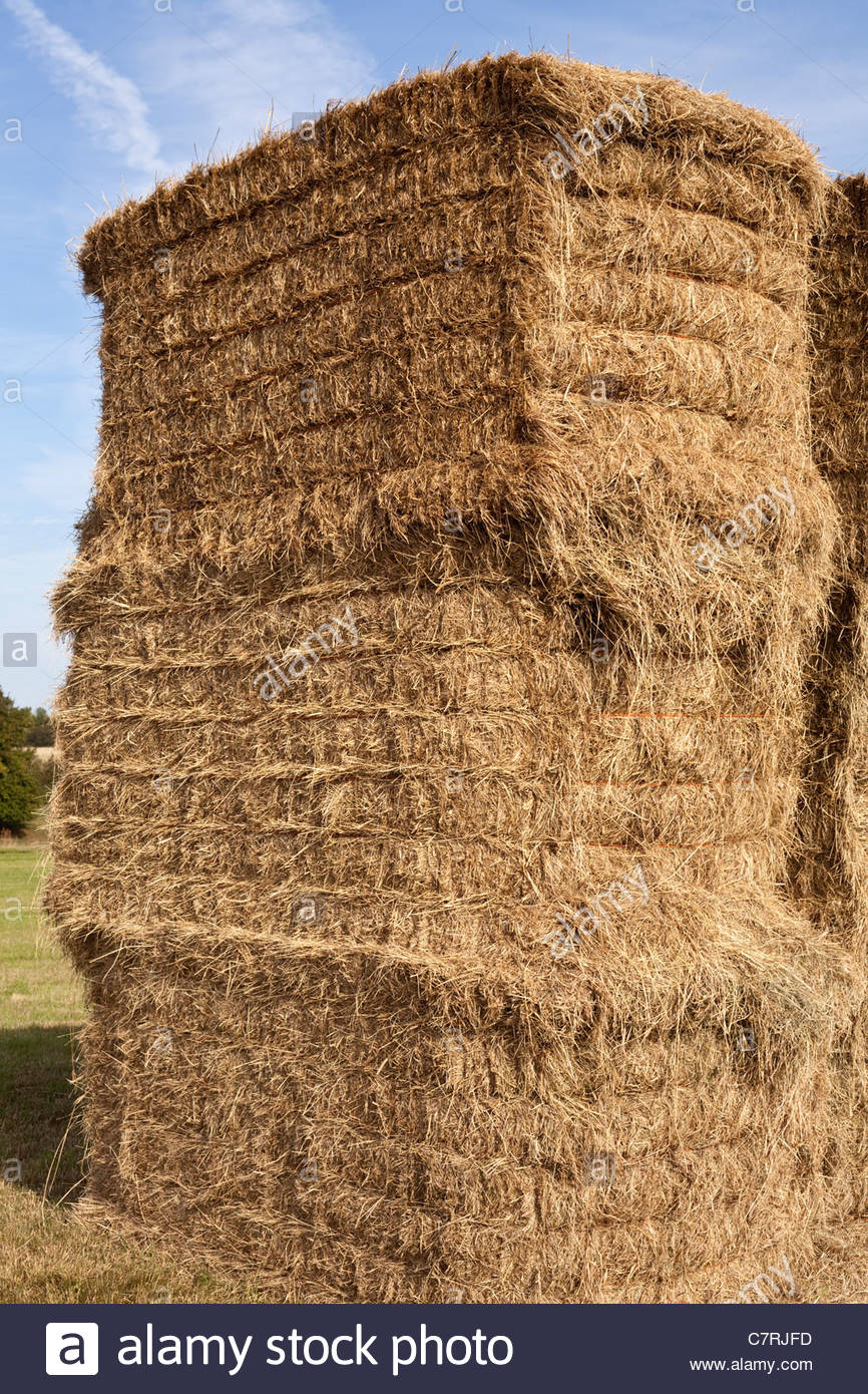 Square Hay Bales Stock Photos & Square Hay Bales Stock Images Alamy