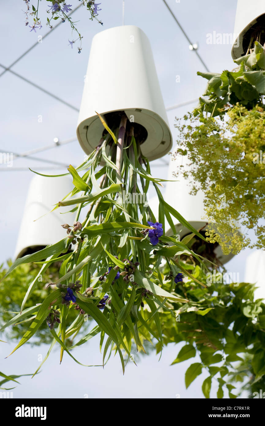Unusual plant pots hi-res stock photography and images - Alamy