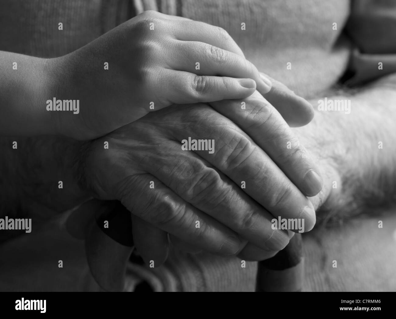 granddaughter hand holding his grandfather hands Stock Photo