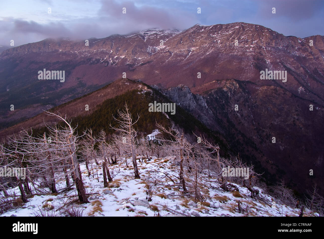 The most beautiful mountain in Croatia during the winter, mountain Velebit. Stock Photo