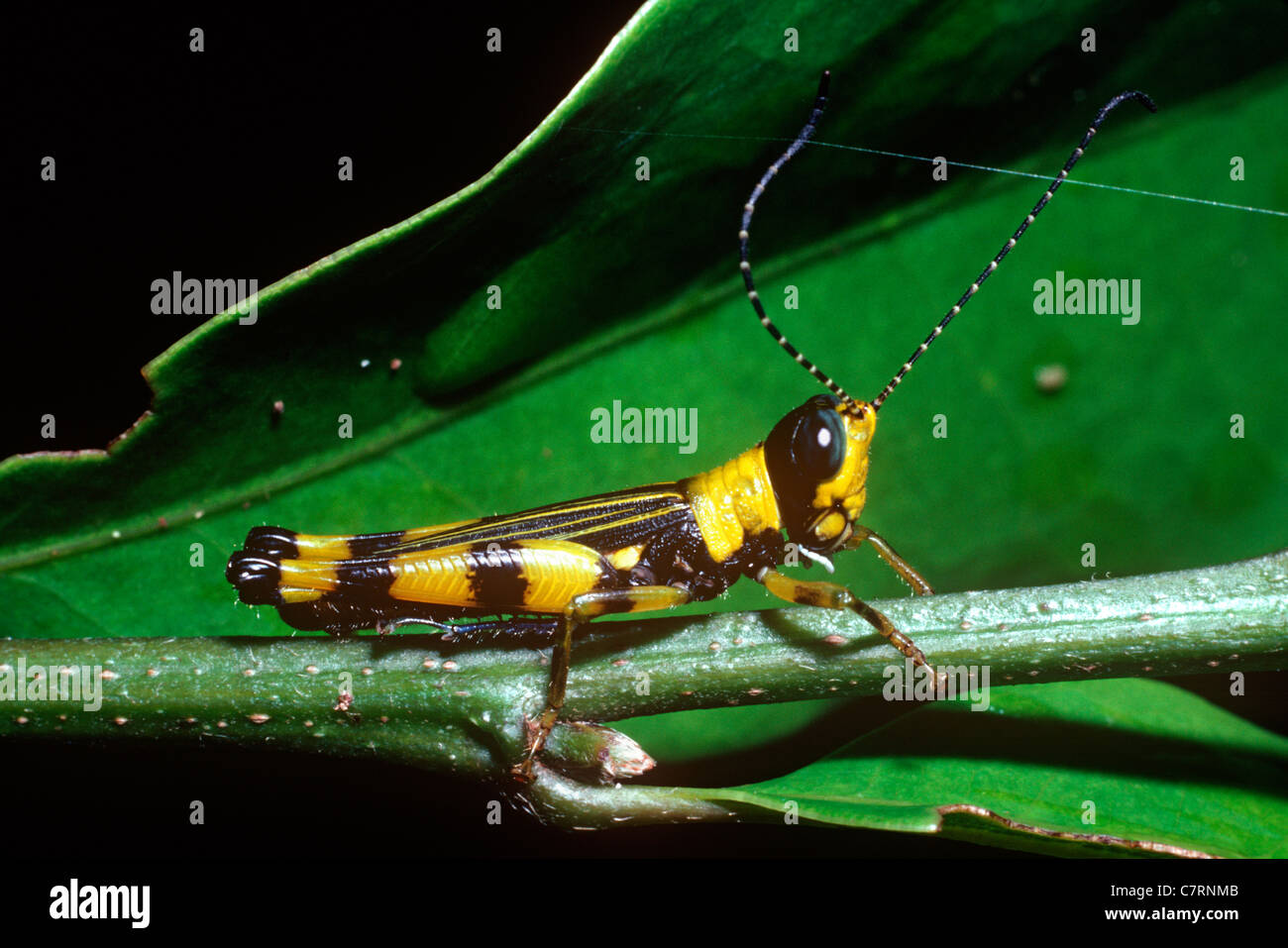 Warningly hi-res stock photography and images - Alamy