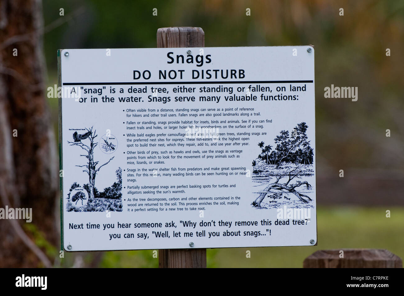 This sign explains the need to allow dead trees to remain and of their benefits to the